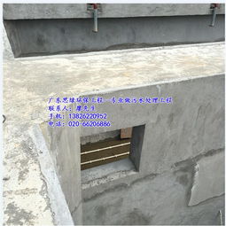 思綠環保 化州人工濕地廢水處理工程，科技與自然共筑綠水青山